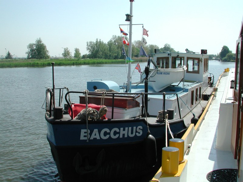 2010 RIA und Bacchus in Weesp 800x600