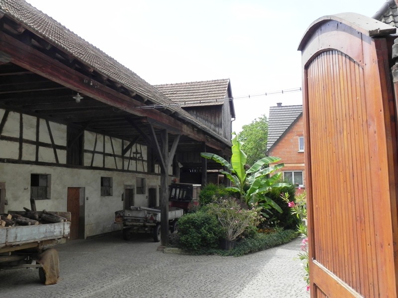 Schöne Häuser in Mommenheim.